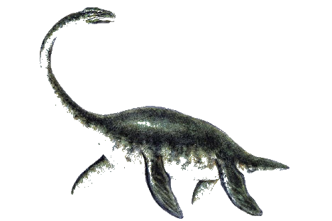 The Christchurch Plesiosaur